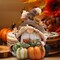 Handmade Swedish Tomte Gnomes Elf for Fall Thanksgiving Decor Gift(Multicolor)